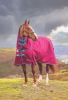 Shires Highlander Original 300 Combo (RRP ÃÂ£99.99)